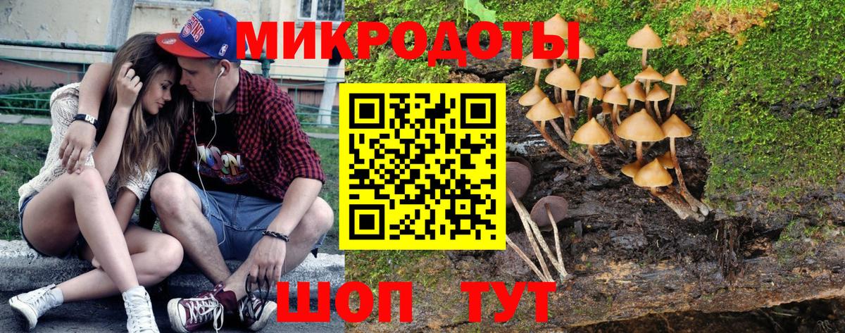 Галлюциногенные грибы Magic Shrooms  сколько стоит  Галлюциногенные грибы ЛСД  Ялуторовск  Вход с VPN 