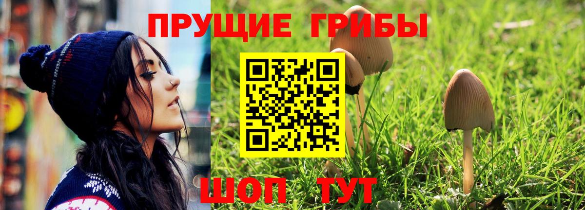 Псилоцибиновые грибы мухоморы Ялуторовск
